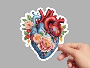 Anatomical Heart Sticker