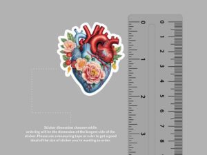 Anatomical Heart Sticker