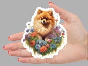 Pomeranian Sticker