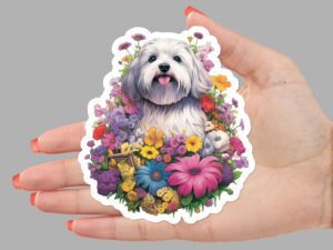 Havanese Sticker