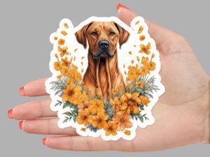 Rhodesian Ridgeback Dog Sticker