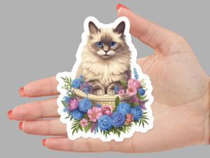 Ragdoll Cat Sticker