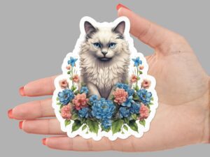 Ragdoll Cat Sticker