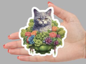 Selkirk Cat Sticker