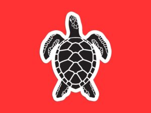 Sea Turtle Sticker