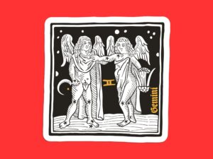 Gemini Zodiac Sign Sticker