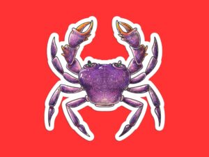 Purple Crab sticker