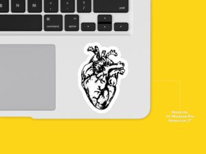 Anatomical Heart Sticker