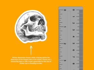 Human Skull Sticker