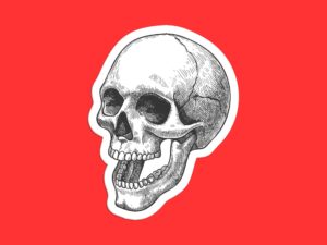 Hatch Skull Sticker