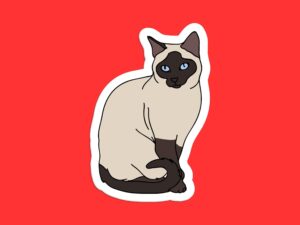 Siamese Cat Sticker