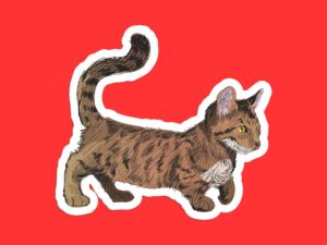 Dwarf Cat Sticker
