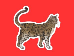 Bengal Cat Sticker