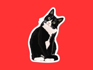 Confused Cute Cat Sticker - Purrplexed Feline Adorning Your World | Vinyl Sticker, Laptop Sticker, Water Bottle Sticker, Trendy Sticker