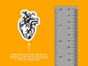 Anatomical Heart Sticker