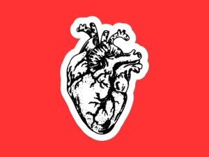 Anatomical Heart Sticker