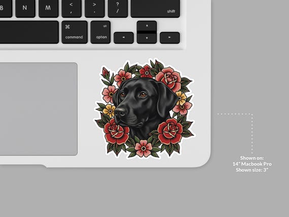 Imported from Etsy Open API via Etsy API Image Refresh