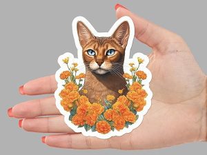 Abyssinian Cat Sticker