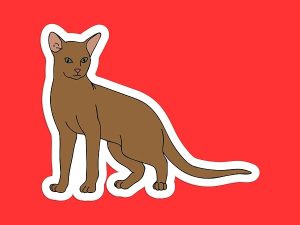 Abyssinian Cat Sticker