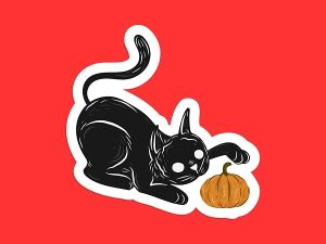 Black Cat Pumpkin Sticker