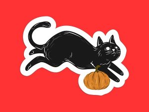 Black Cat Pumpkin Sticker