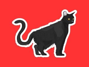 Bombay Cat Sticker