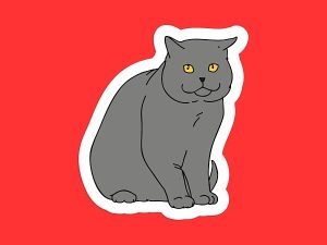 British Shorthair Cat Sticker