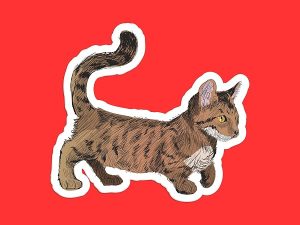 Dwarf Cat Sticker