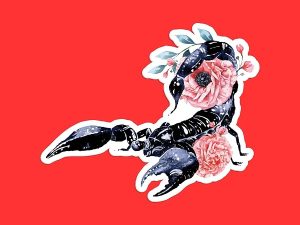 Floral Scorpion Sticker