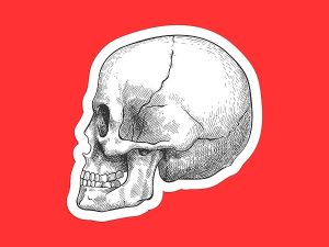 Hatch Drawn Skull Sticker