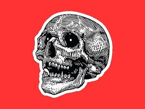 Hatch Human Skull Sticker