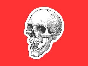 Hatch Skull Sticker