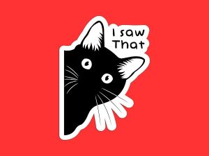 I Saw That Sticker