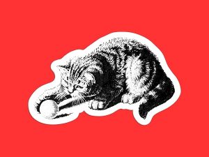 Kitten Cat Sticker