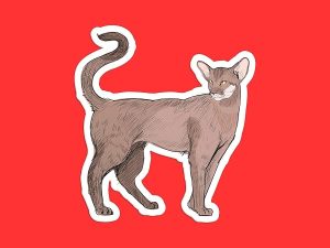 Oriental Shorthair Cat Sticker