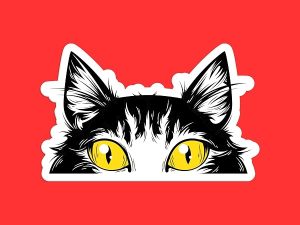 Peeking Cat Sticker