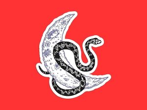 Snake On The Moon Sticker