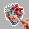 Anatomical Heart Sticker