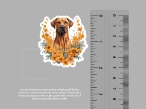 Rhodesian Ridgeback Dog Sticker