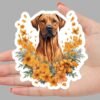 Rhodesian Ridgeback Dog Sticker