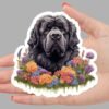 Newfoundland Dog Sticker