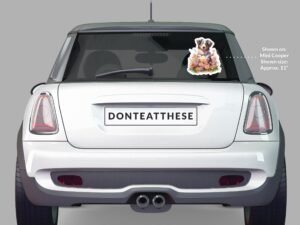 Miniature American Shepherd Dog Sticker