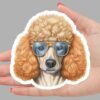 Funny Poodle Dog Sticker