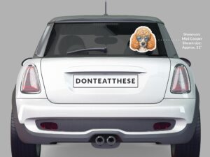 Funny Poodle Dog Sticker