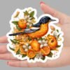 Baltimore Oriole Bird Sticker