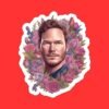 Chris Pratt Sticker , funny sticker
