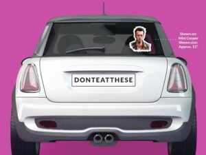 Joe Strummer Sticker