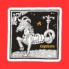 Capricorn Zodiac Sign Sticker