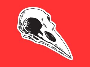 Bird Skull Sticker