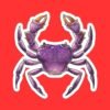 Purple Crab sticker